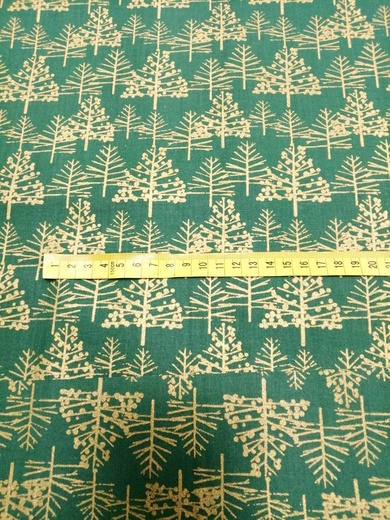 13aaa.jpg