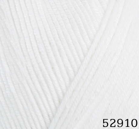 52910.jpg