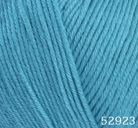 52923.jpg