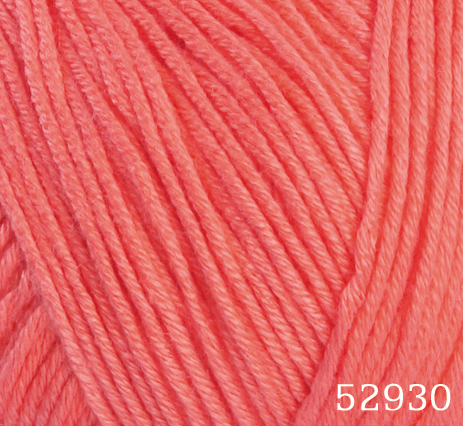 52930.jpg
